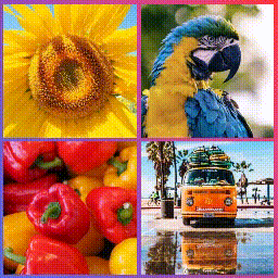آیکن Animated Live Wall Gallery