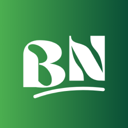 آیکن Blog News Addons For Elementor (News, Magazine and Blog Addons)