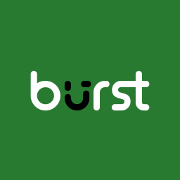 آیکن Burst Statistics – Simple WordPress Analytics (Google Analytics Alternative)