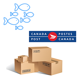 آیکن Canada Post Shipping For WooCommerce
