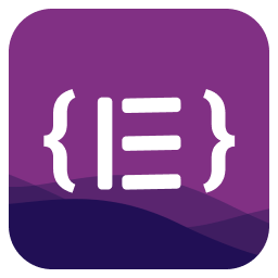 آیکن Custom CSS for Elementor