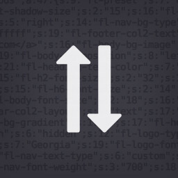 آیکن Customizer Export/Import