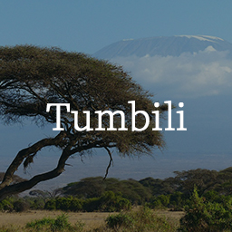 آیکن Tumbili: Mailchimp Signup for Gutenberg