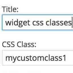 آیکن Widget CSS Classes