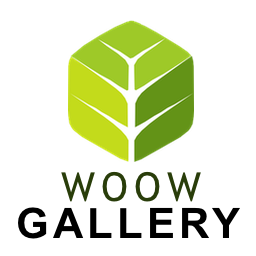 آیکن WoowGallery