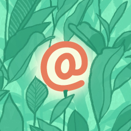 آیکن WP Mail Logging