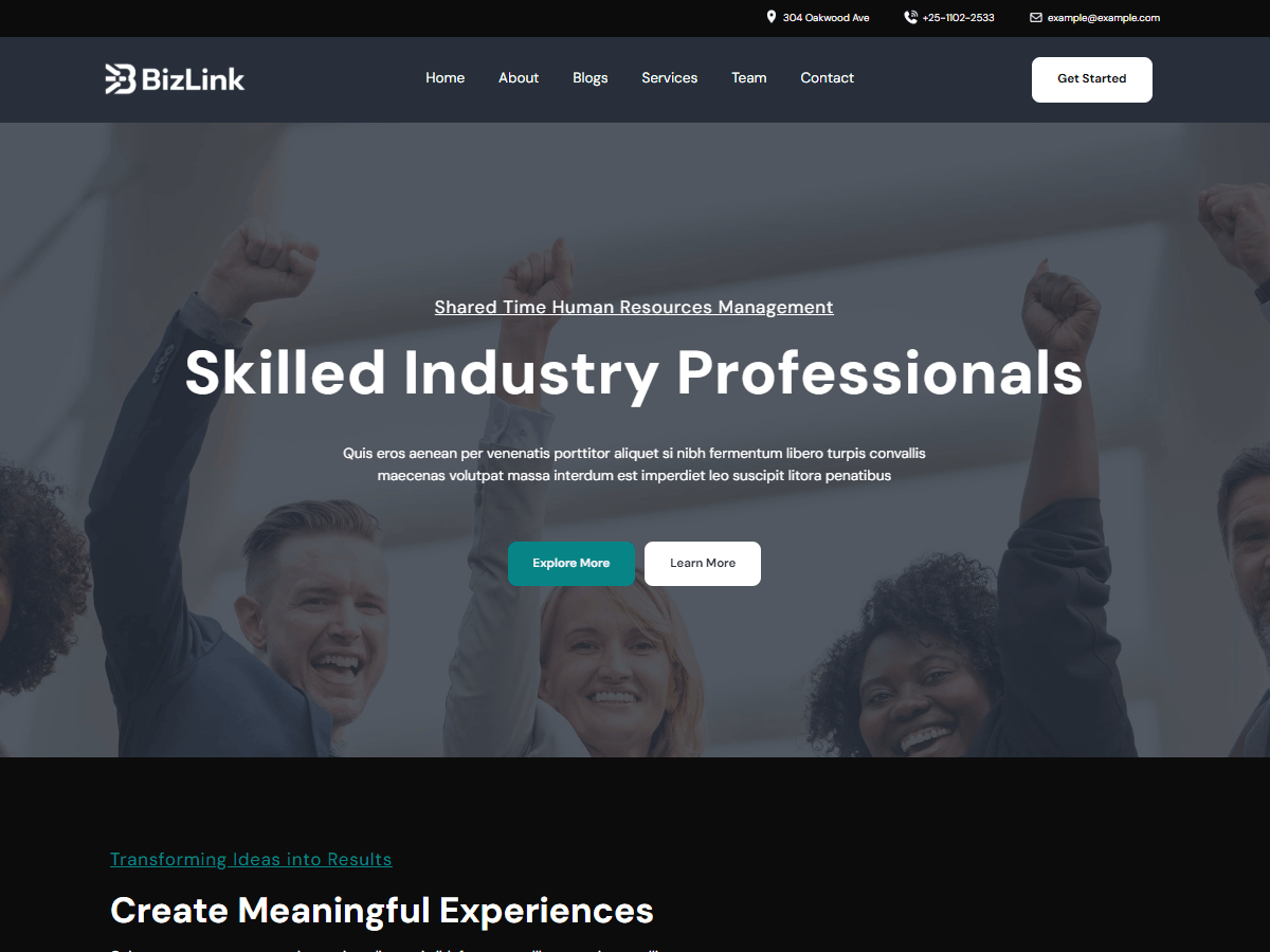 آیکن BizLink Dark