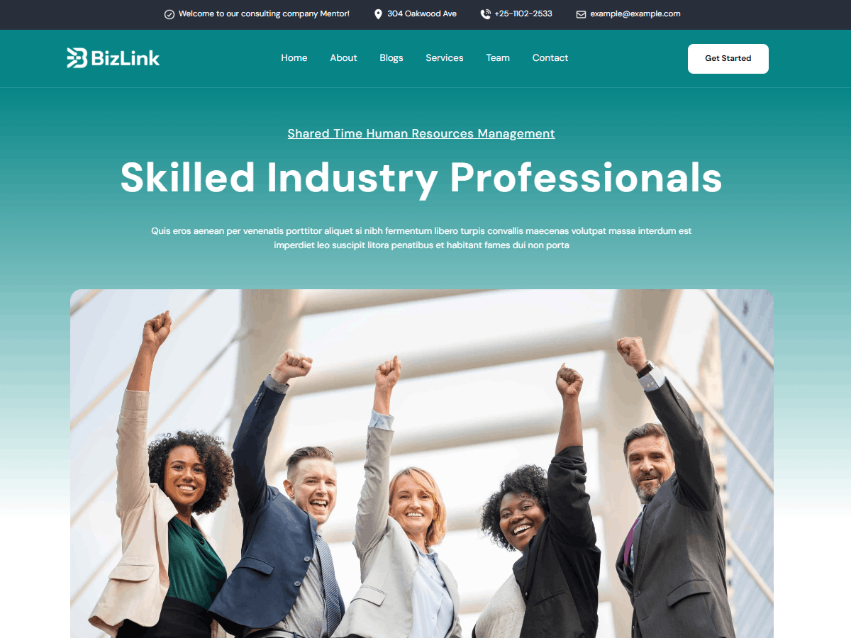 آیکن BizLink