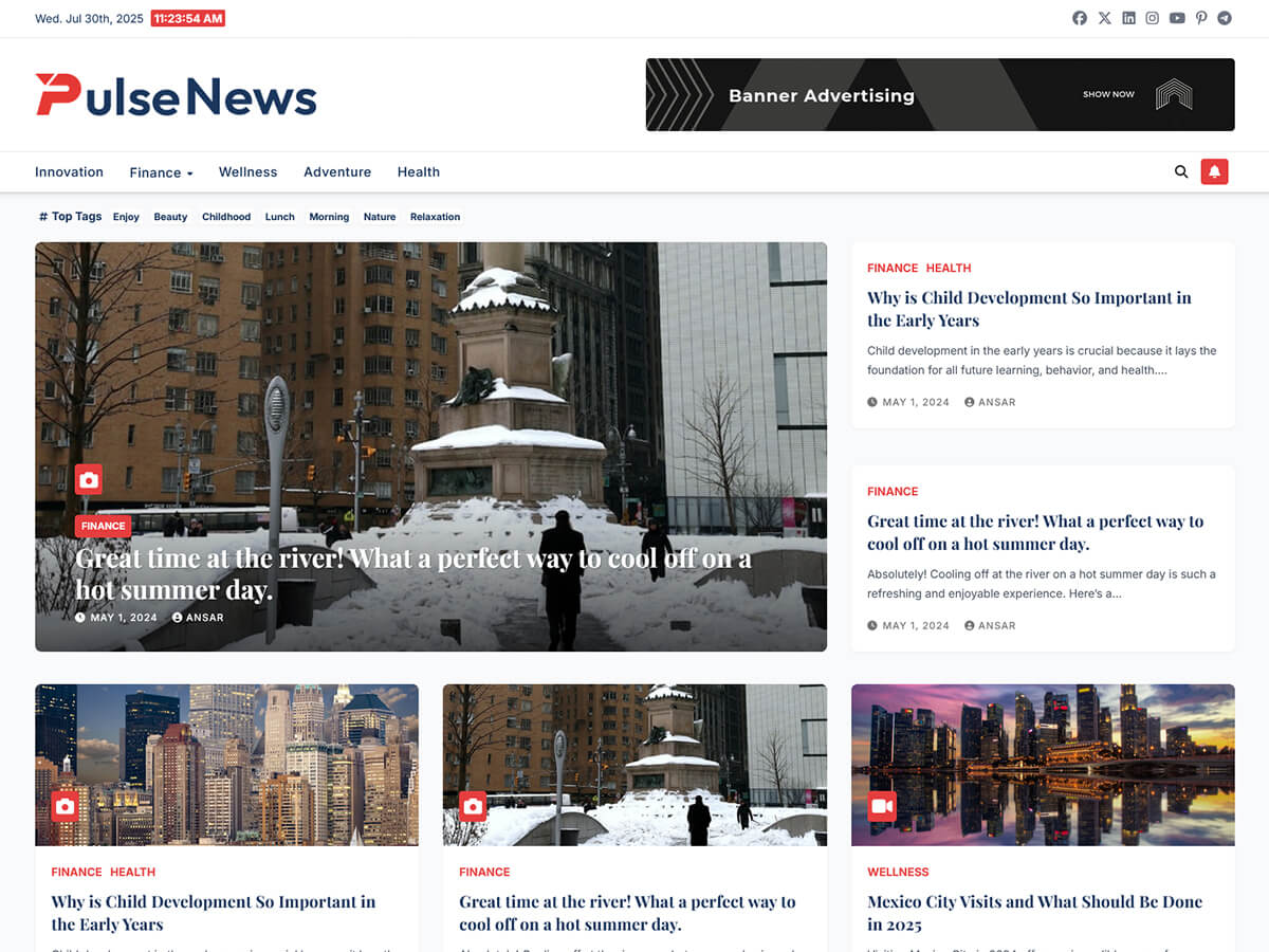 آیکن Pulse News